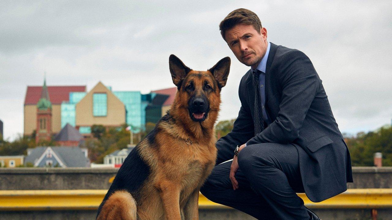 Hudson & Rex backdrop