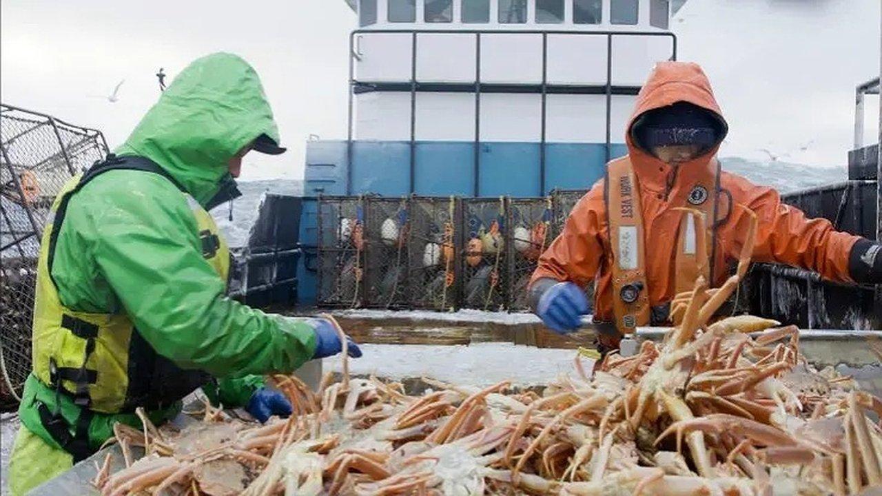 Truth Will Set You Free