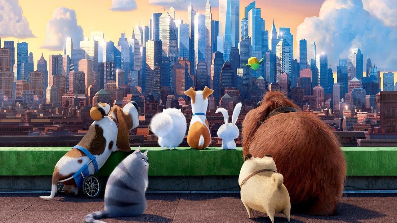 The Secret Life of Pets Collection backdrop