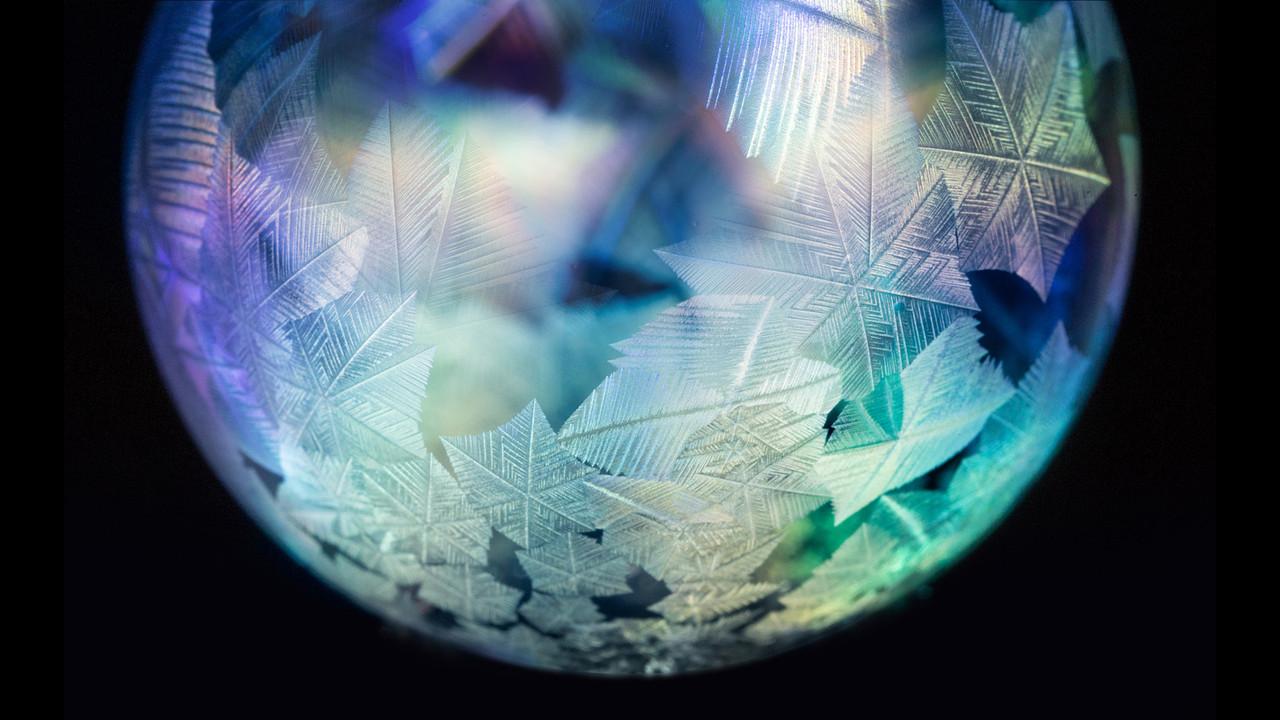 Forces of Nature with Brian Cox backdrop