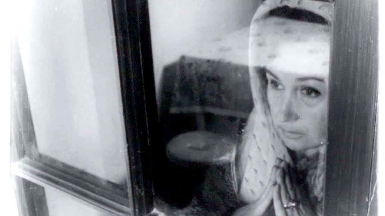 The Tango of the Widower and Its Distorting Mirror backdrop