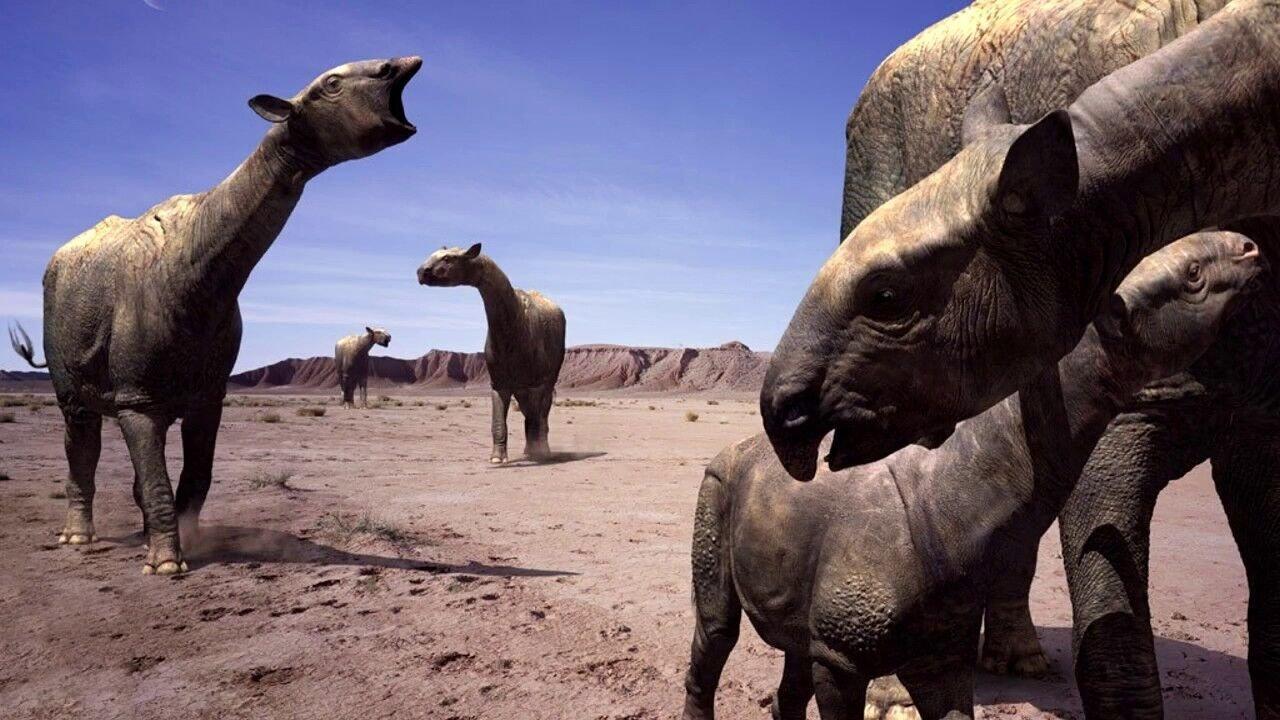 Walking with Beasts backdrop