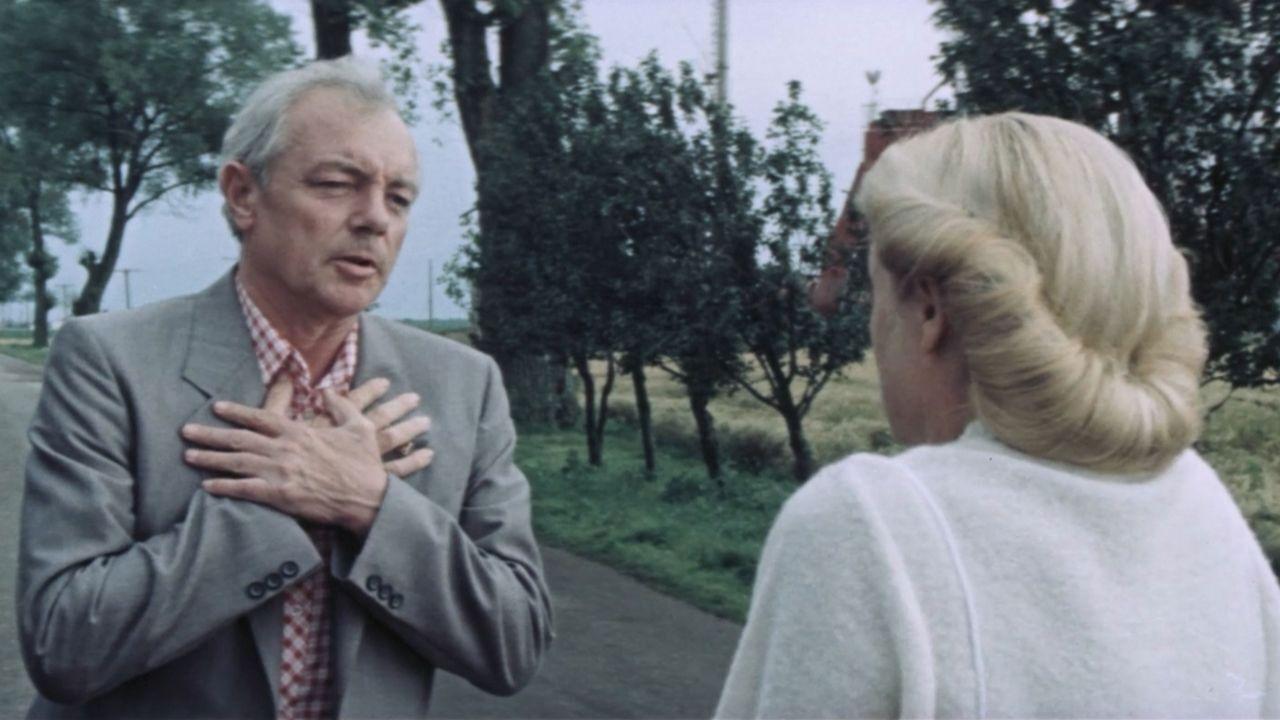 Let's Wait with the Anniversary backdrop