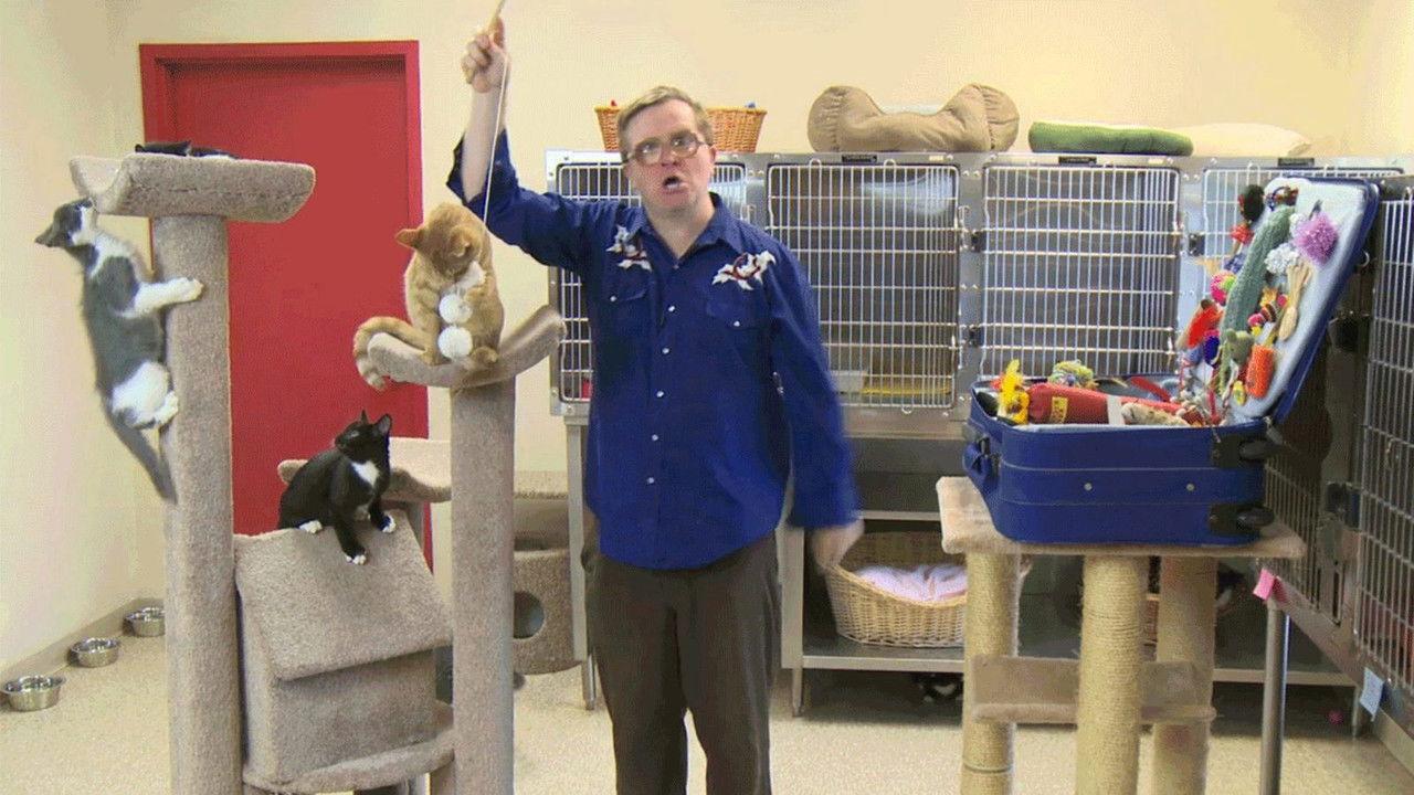 Kitty of the Week backdrop