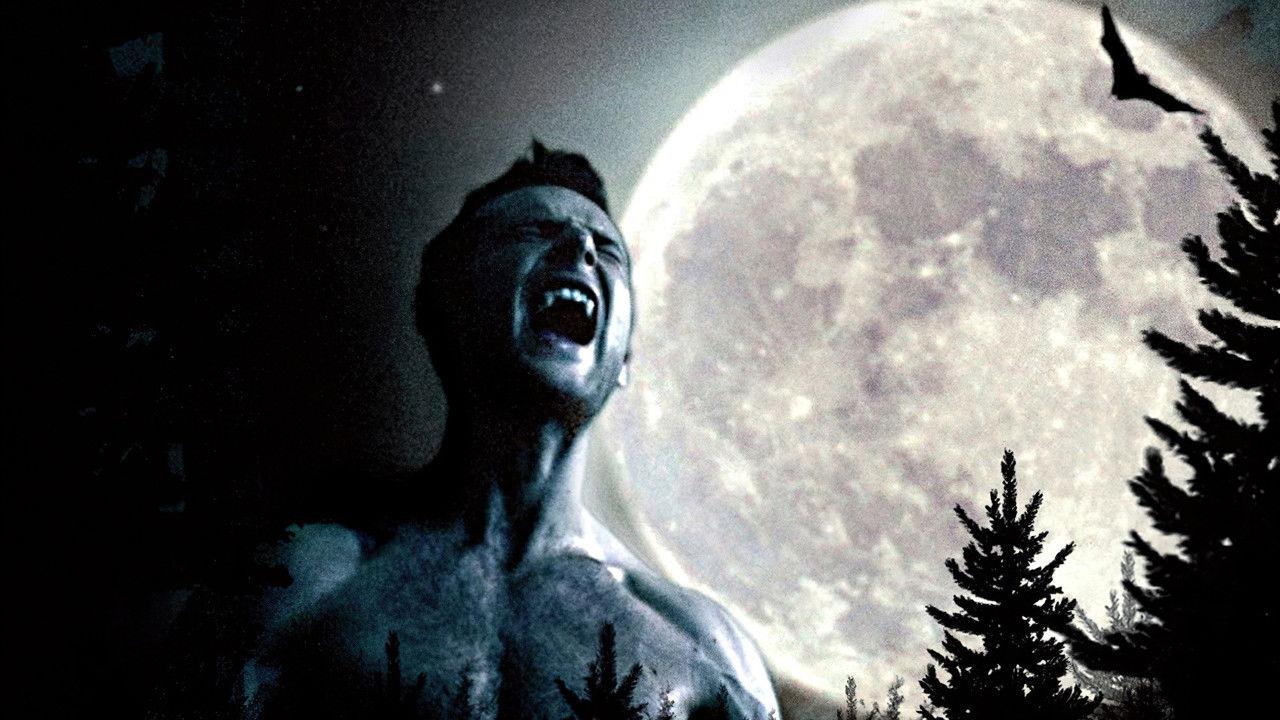 McFly: Nowhere Left to Run backdrop