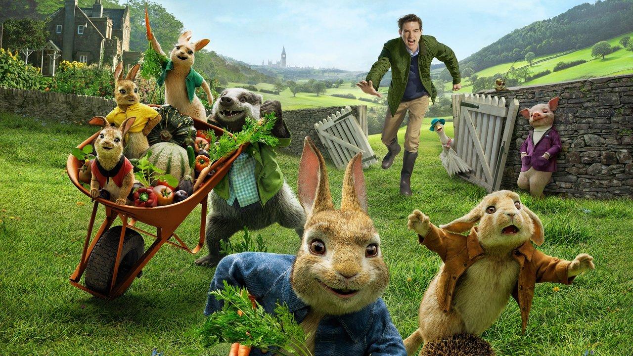 Peter Rabbit Collection backdrop