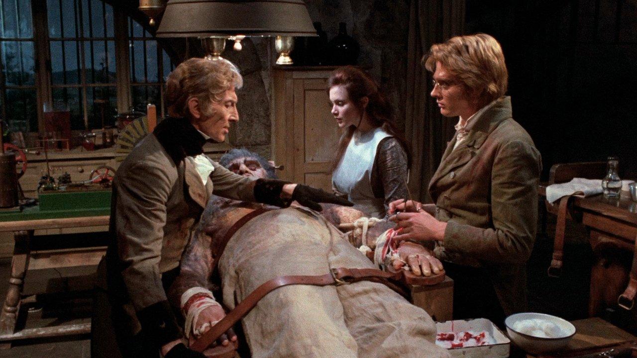 Frankenstein and the Monster from Hell backdrop