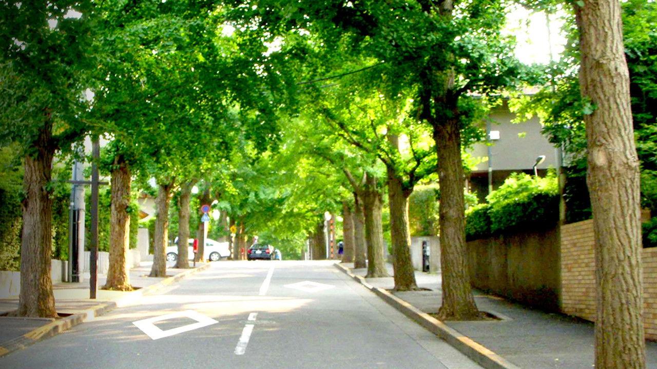 Zeroing In: Carbon Neutral 2050 backdrop