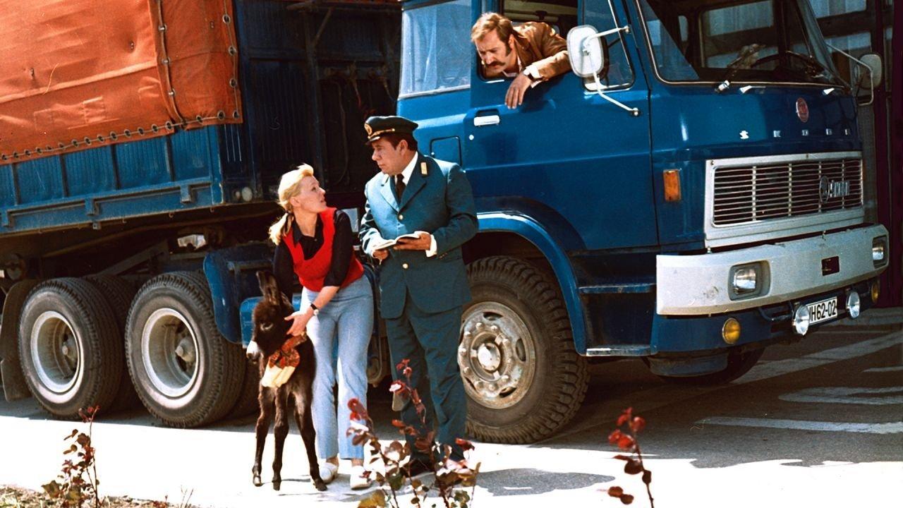 How Do You Feed A Donkey? backdrop