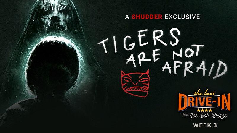 Tigers Are Not Afraid