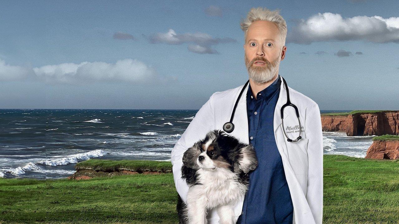 Temps de chien backdrop