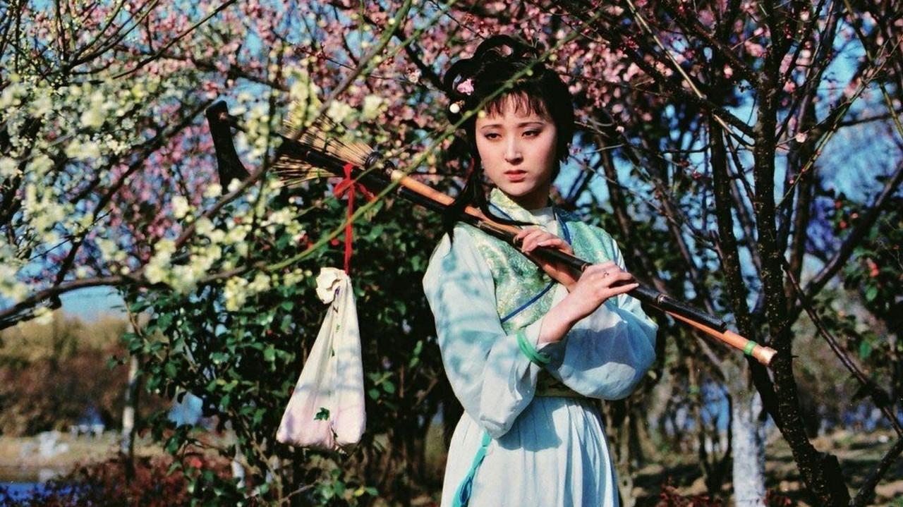 Dream in Red Mansions backdrop