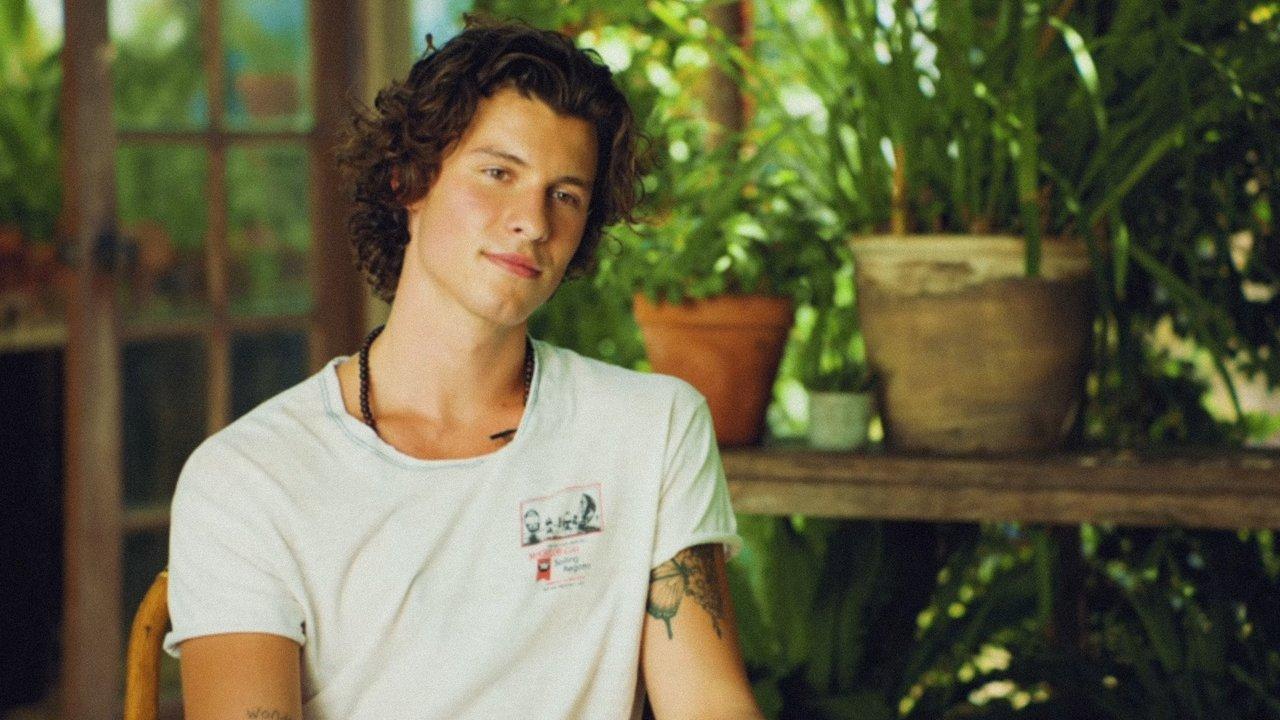 Shawn Mendes: The Wonder Interview backdrop