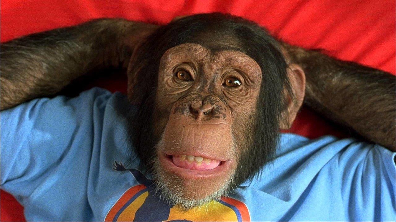 MVP Collection backdrop