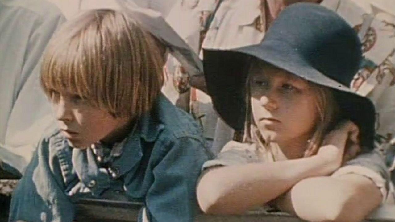 Clandestine Summer backdrop