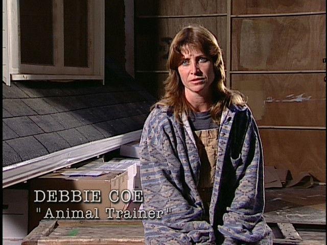 Behind the truth - Maggots