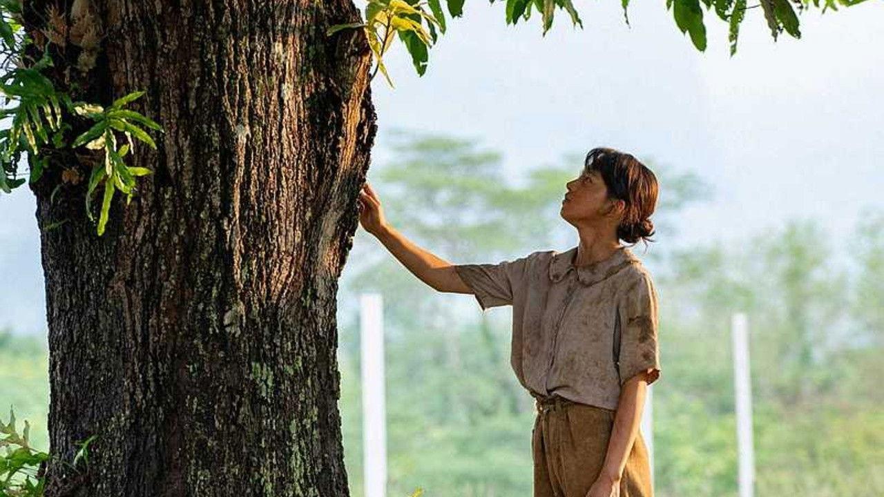 Mango no Ki no Shita de backdrop