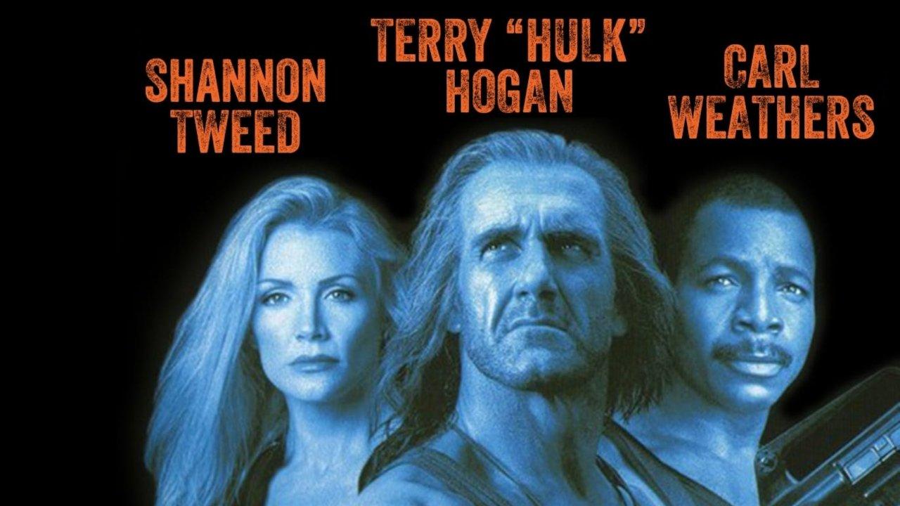 Shadow Warriors Collection backdrop