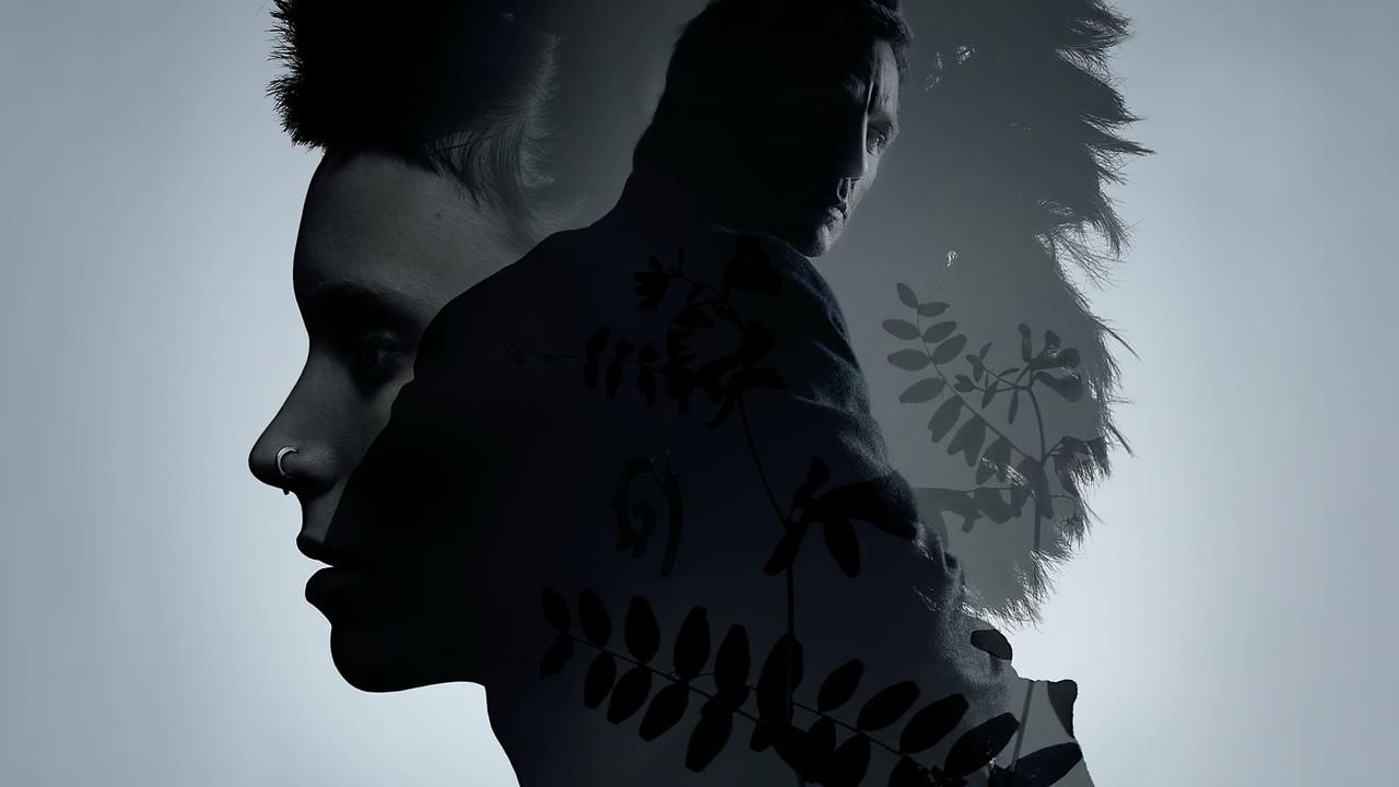 Millennium Collection backdrop