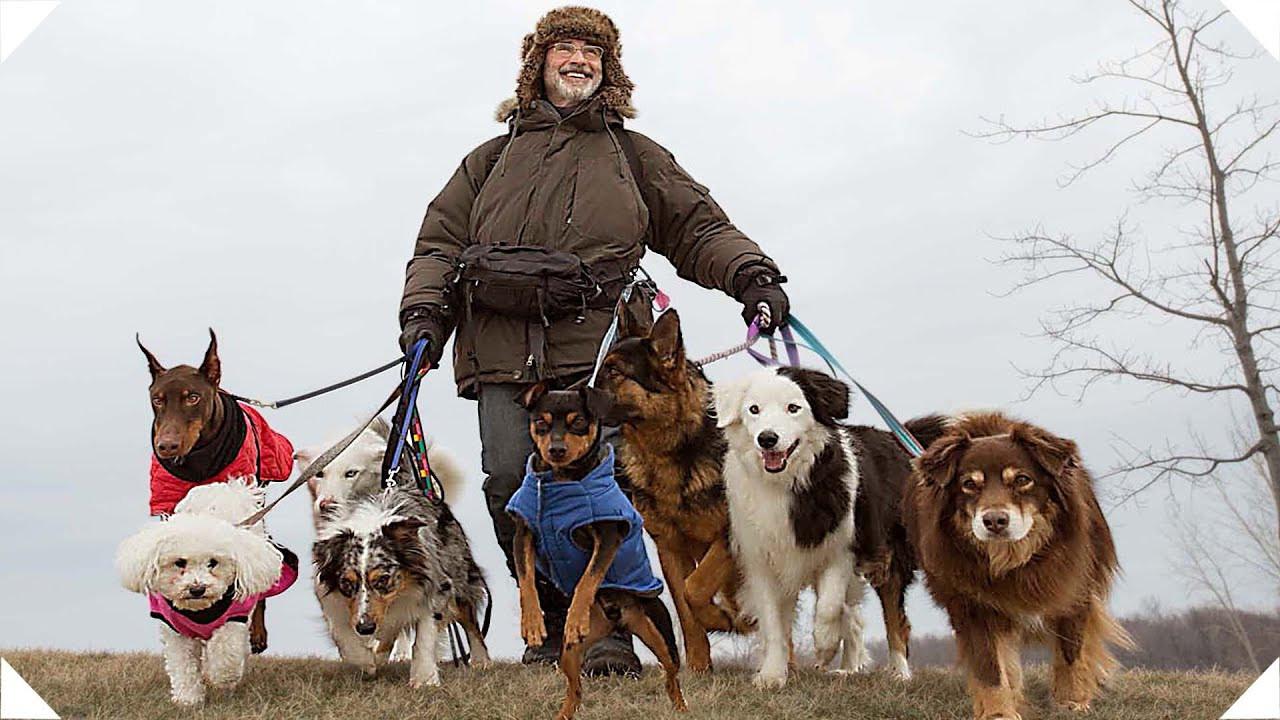 The New Life of Paul Sneijder backdrop