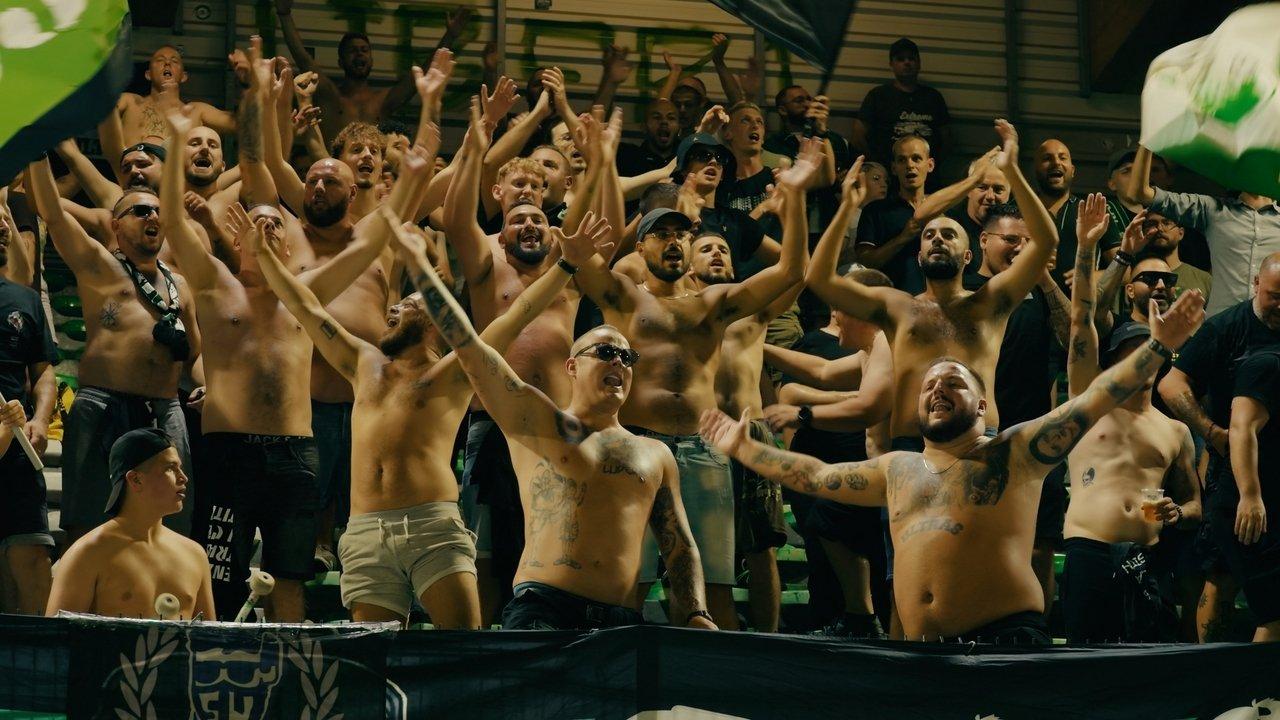 De Harde Kern backdrop