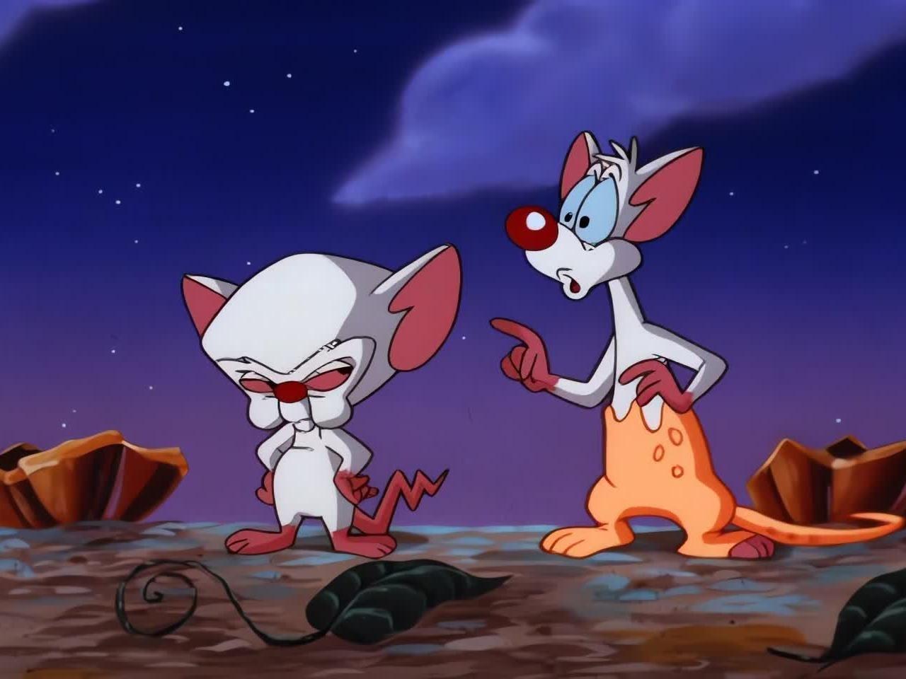A Pinky And The Brain Halloween