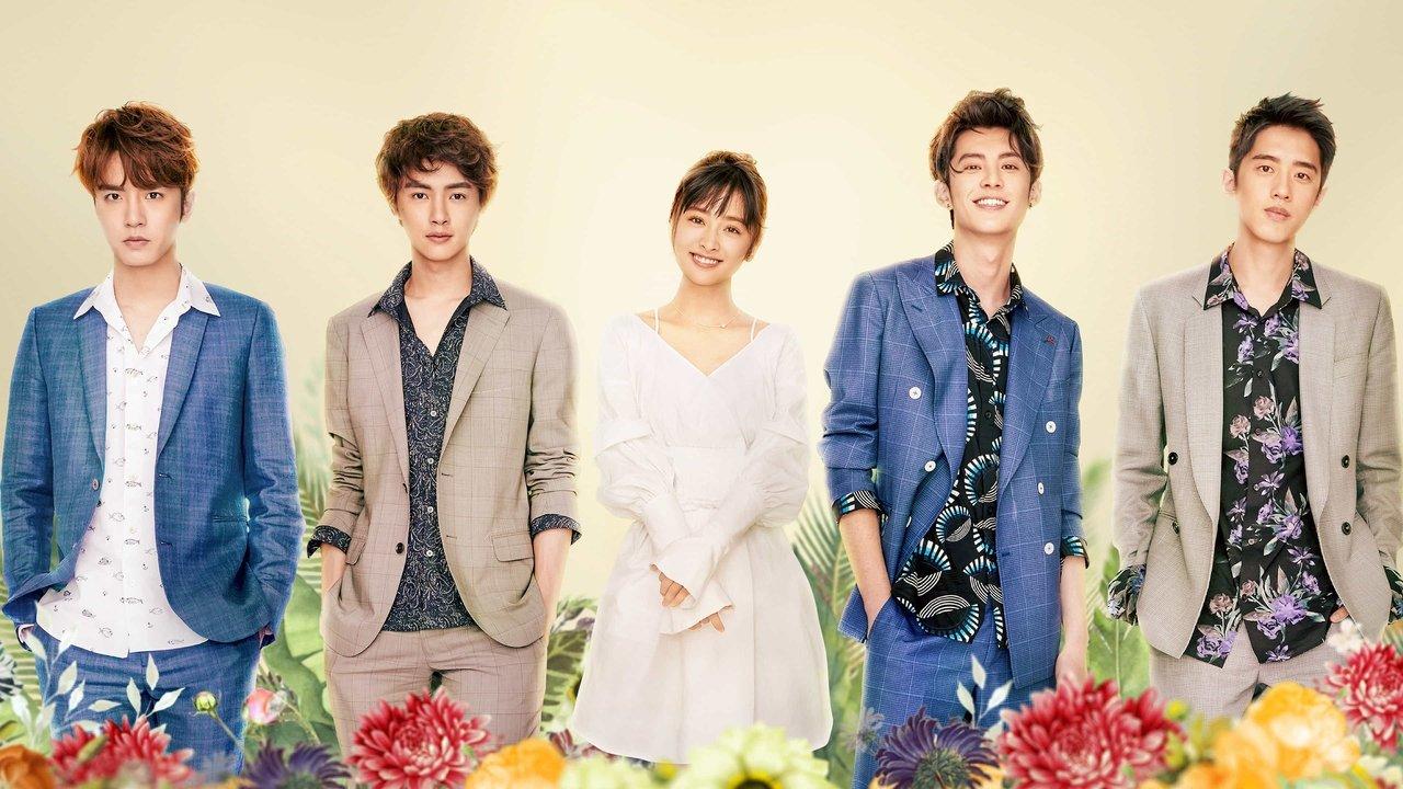 Meteor Garden backdrop