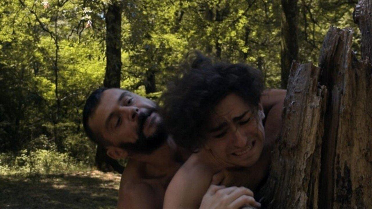 What Have You Done, Daniel? backdrop