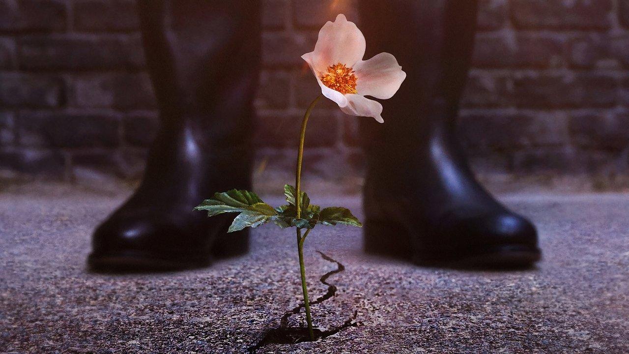 The Man in the High Castle backdrop