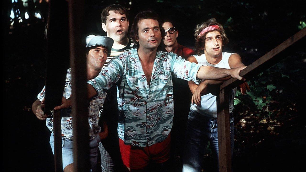 Meatballs Collection backdrop