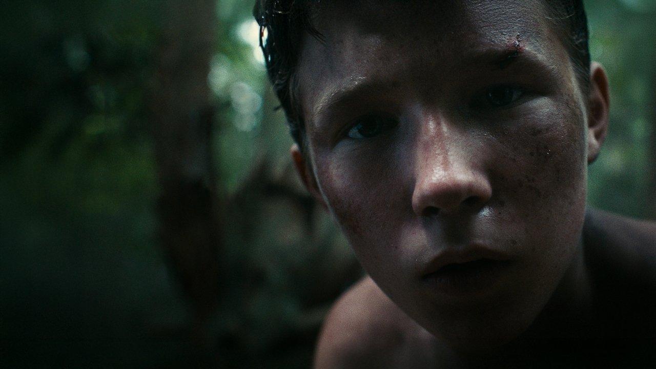 Lost on a Mountain in Maine backdrop