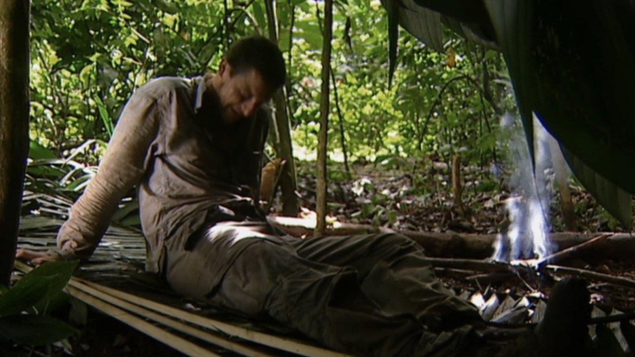 Costa Rican Rain Forest