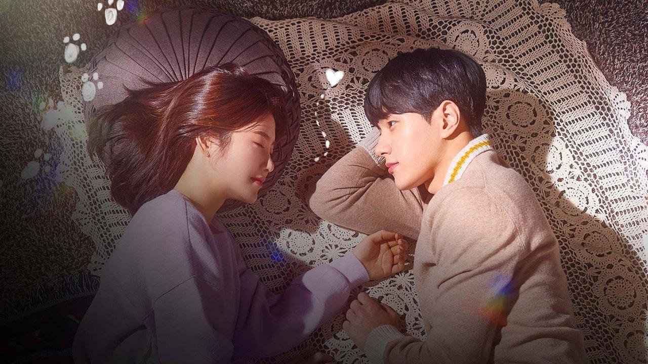 Meow, the Secret Boy backdrop