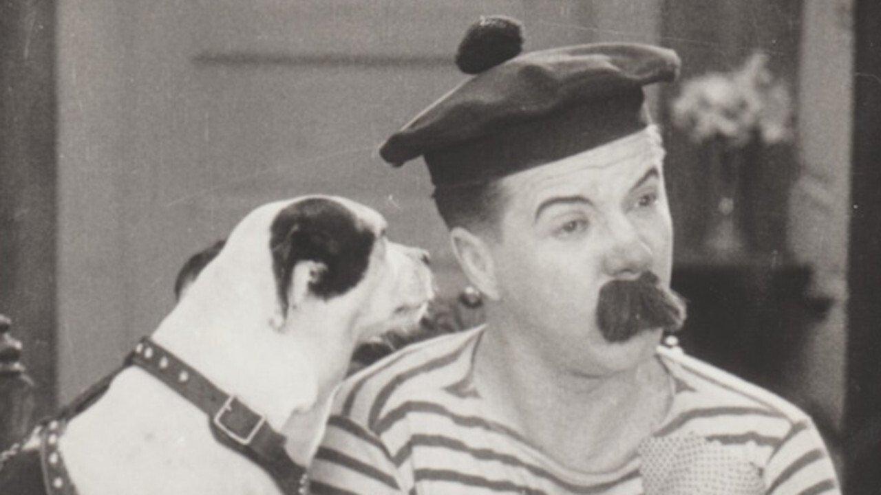 Nip and Tuck backdrop