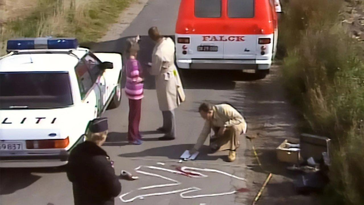 Rejseholdet backdrop