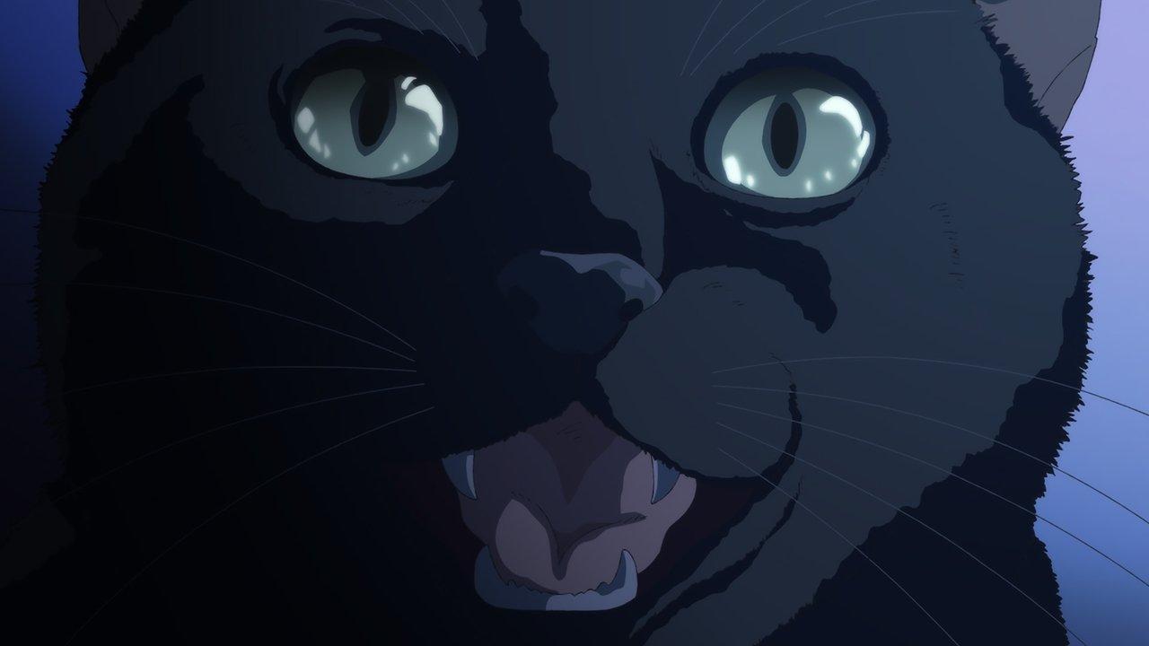 The Wicker Basket That Must Not Be Opened