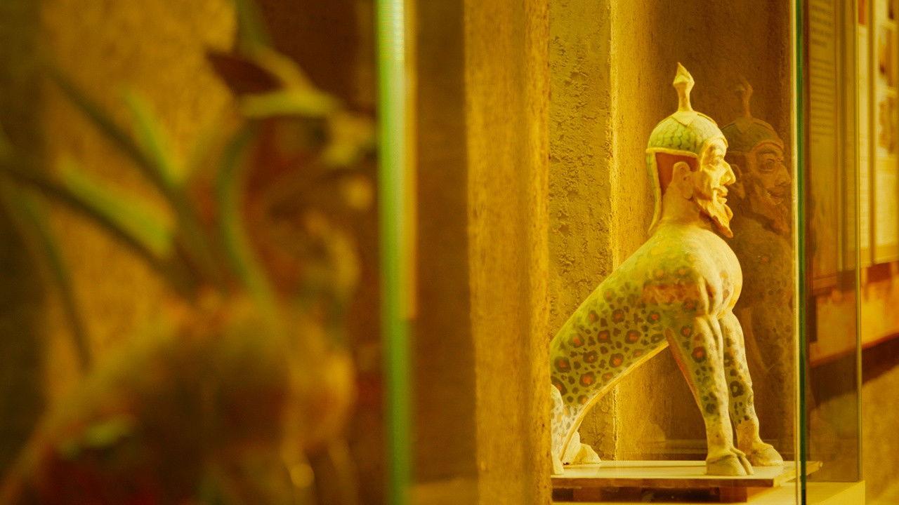 国宝里的新疆 backdrop