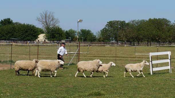 Mythssion Impossible