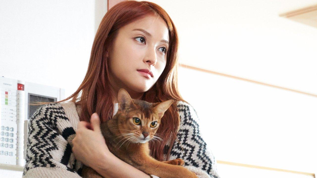 How to Break up with My Cat backdrop