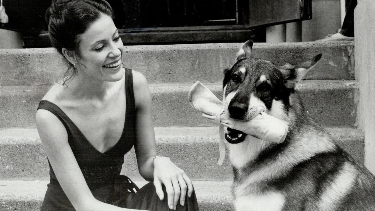 The Littlest Hobo backdrop