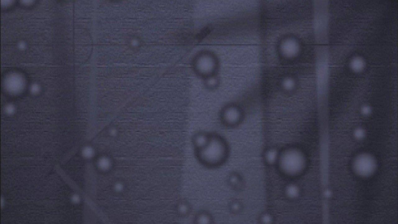 The Standard Deviants: The Split-Infinitive World of English Grammar backdrop