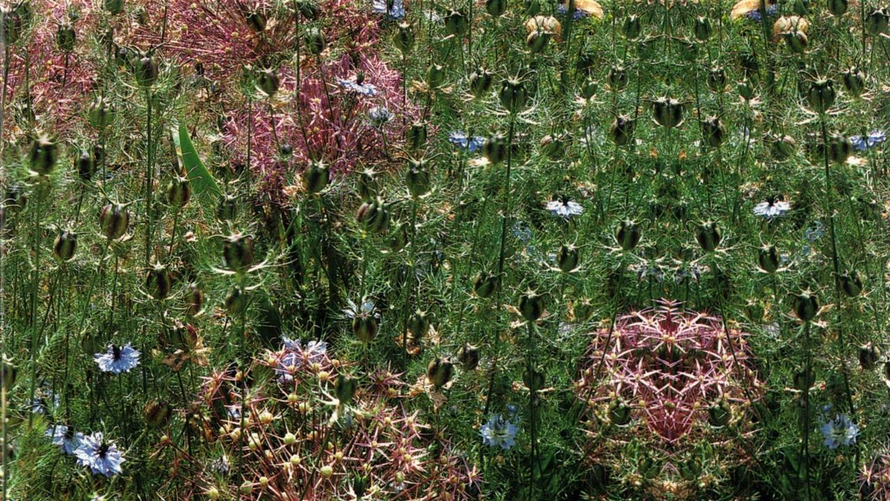 Gardens of the World with Audrey Hepburn backdrop