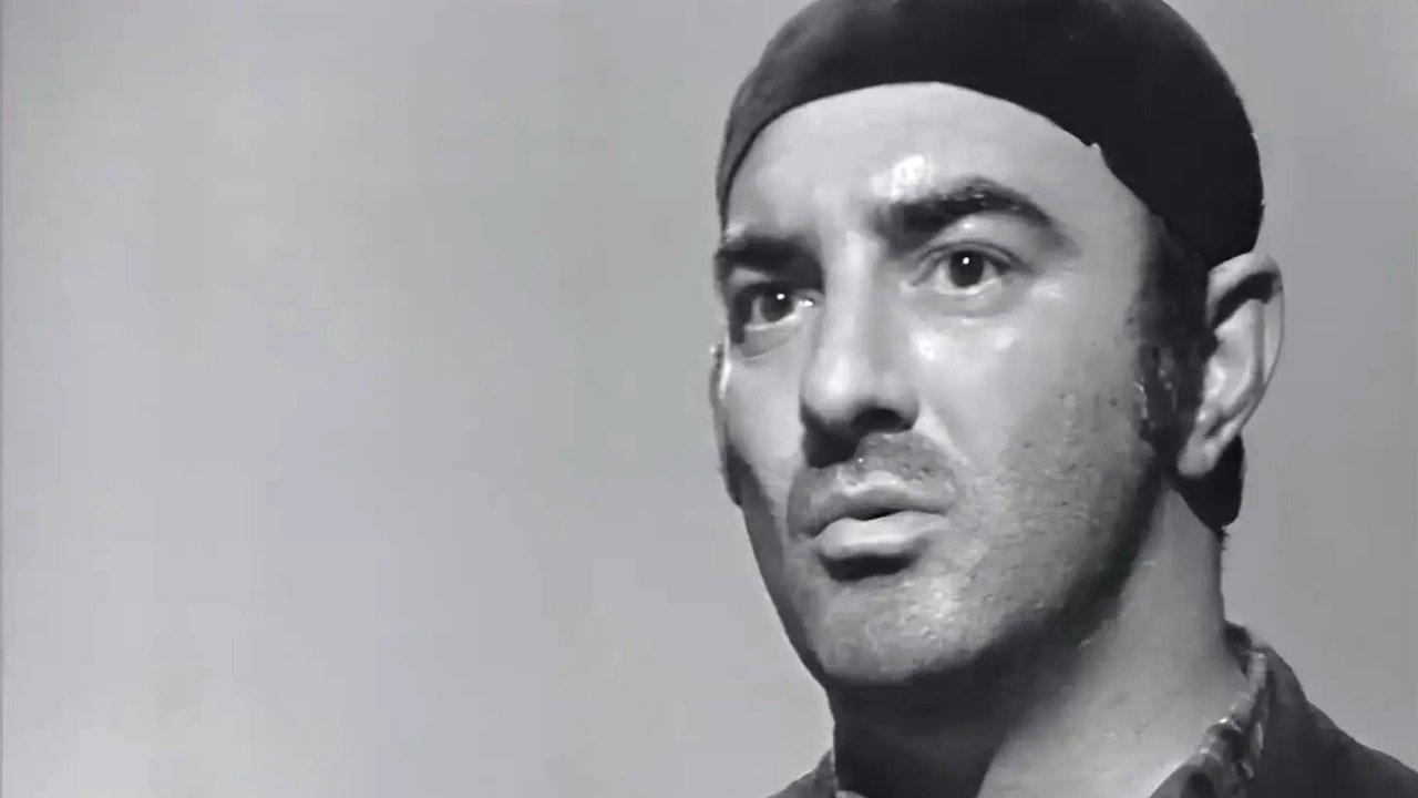 The Graduates backdrop