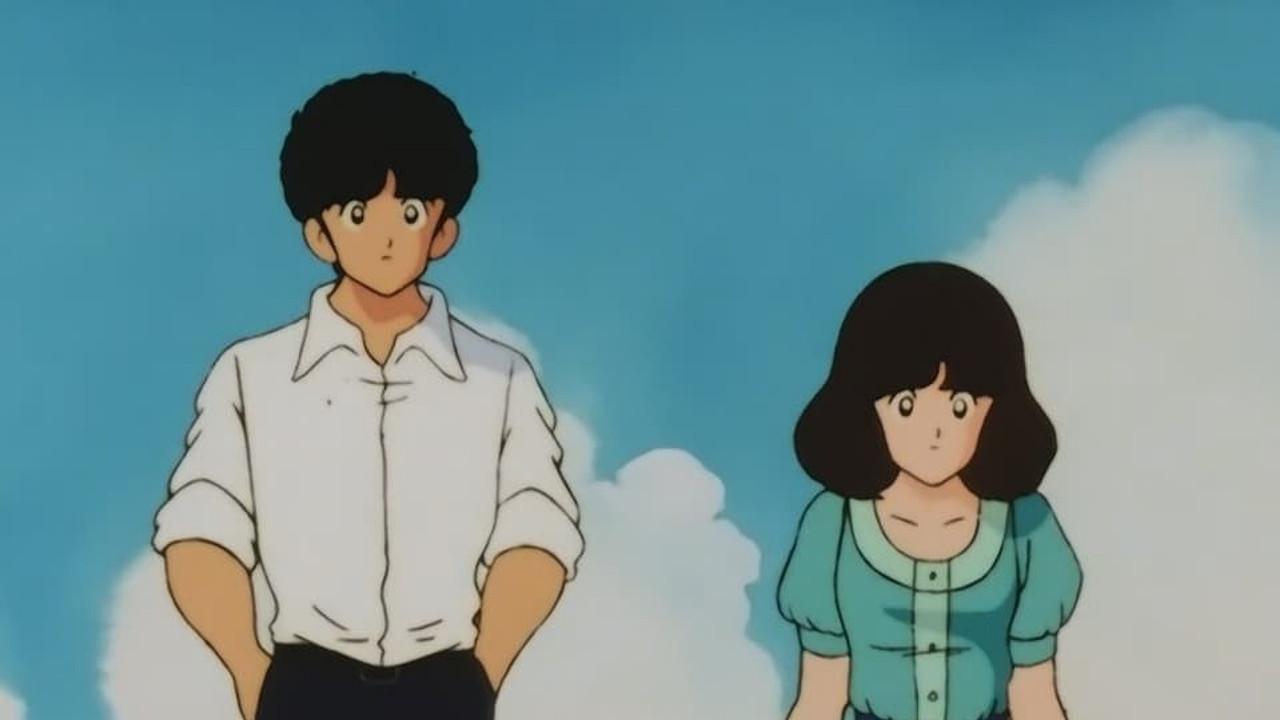 Touch Collection backdrop