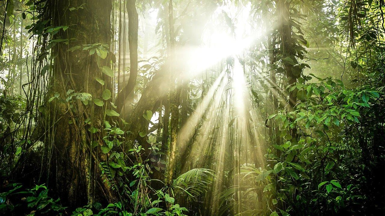 The Green Planet backdrop