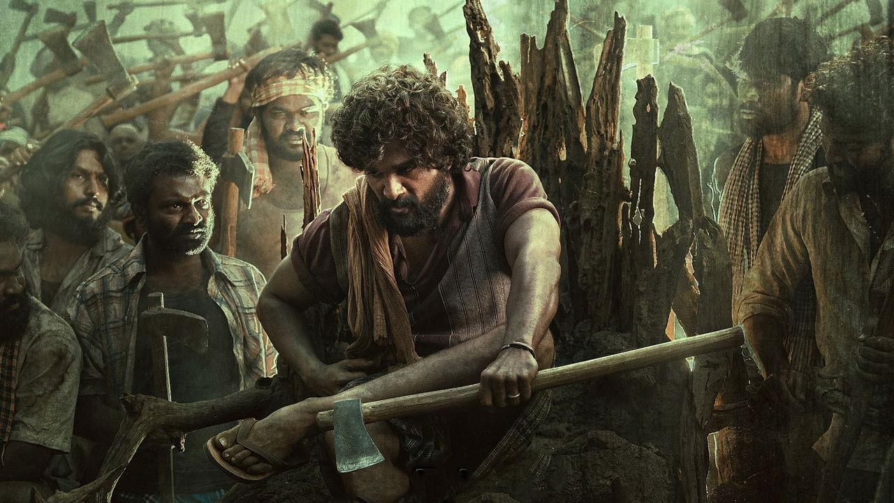 Pushpa Collection backdrop