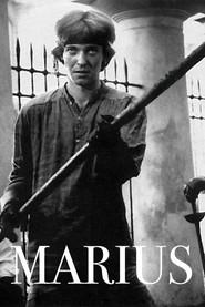 Marius