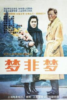 梦非梦 film afişi