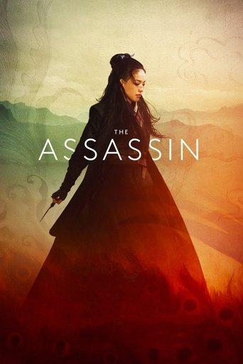 The Assassin film afişi