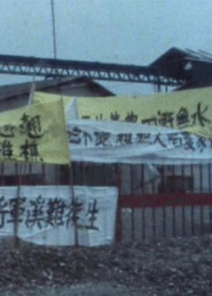 Voice of the People film afişi